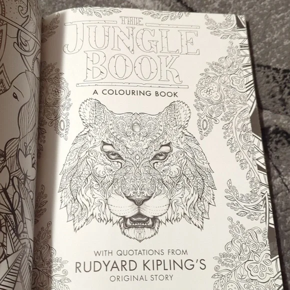 The Jungle Book colouring book new - Picture 11 of 14